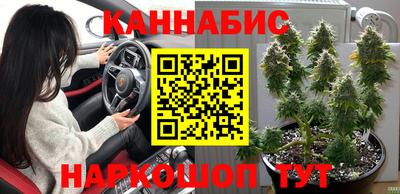 твердый Лесосибирск