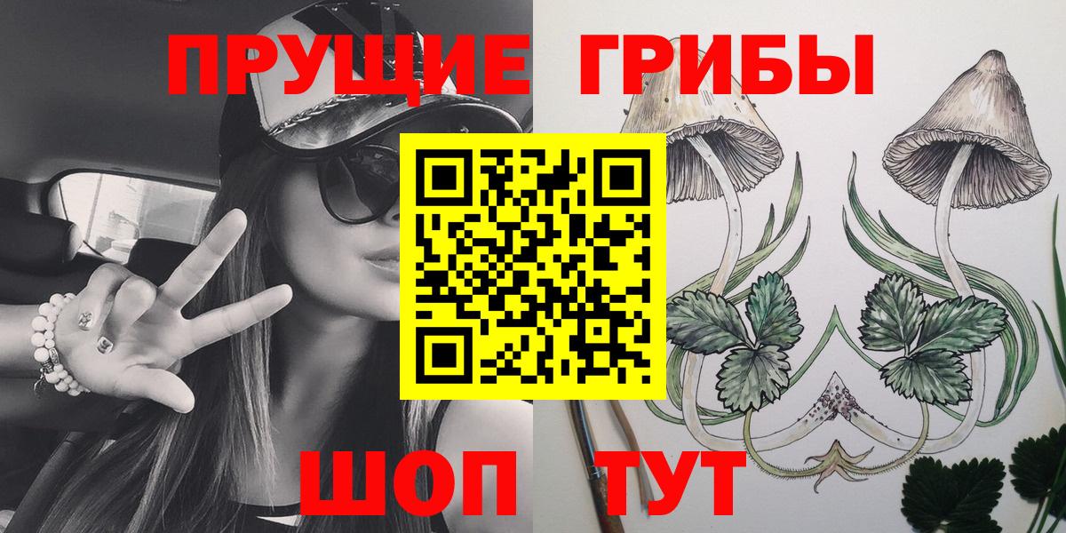 Выкса  Псилоцибиновые грибы Psilocybine cubensis  Вход с VPN 